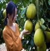 Chính chủ hot ! Bán rẻ đất nền biệt thự Đoan hùng