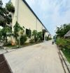 Bán nhà xưởng 1,6hecta cụm công nghiệp Tân Uyên, Bình Dương sẵn dòng tiền 7tỷ/năm