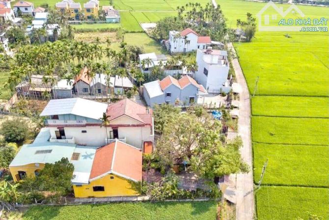 Bán lô đất view lúa cực đẹp hàng hiếm tại Cẩm Thanh, Hội An. - 2