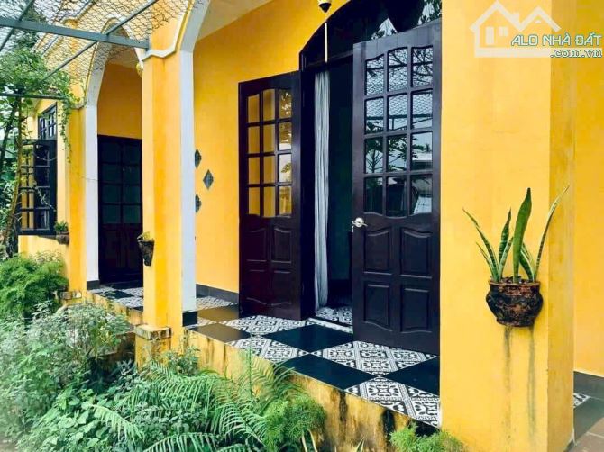 Bán lô đất view lúa cực đẹp hàng hiếm tại Cẩm Thanh, Hội An. - 3