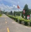 Đất Vườn Mít Thoáng Mát, Vườn Rộng 1084m2, Giá thực tế 900 triệu, Sổ hồng riêng