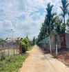 BÁN ĐẤT SÀO KOMLEO HOÀ THẮNG 11x77 CHỈ 2Ty090
