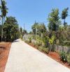 10x50m ĐẤT ĐẸP NGAY D10 BUÔN JU GIÁ RẺ