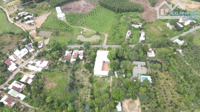 bán 1,5 hecta Bưởi, Sầu Riêng có sẵn nhà yến đường nhựa Tỉnh Lộ 2, xã Sông Cầu, Khánh Vĩnh