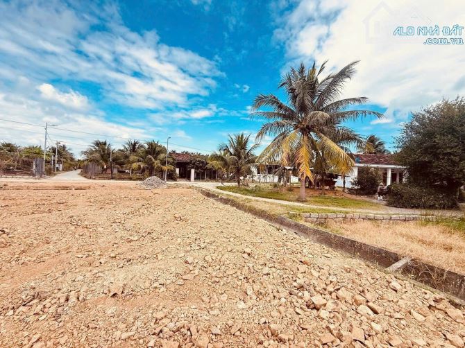 ĐẤT TDP MỸ TRẠCH – PHƯỜNG HÒA THẮNG . KHÁNH HOÀ 🔊🔊 - 1