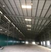 Cho thuê Kho Xưởng 1.300m2 tại cụm CN  Quất Động, Thường Tín, Hà Nội.