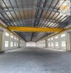 Cho thuê nhà xưởng Khu Công Nghiệp Mỹ Phước 5.292m²