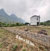 Chính chủ gửi bán 338m có 203m thổ cư 135m cln tại Thu Phong, Cao Phong, Hòa Bình