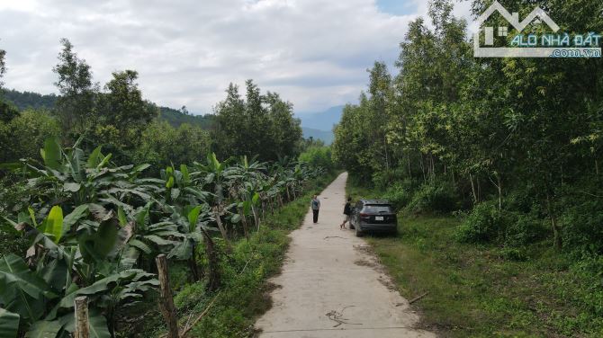 bán 9.5 hecta đất Cây Lâu Năm làm trang trại, nhà vườn, mặt tiền 300m betong giá rẻ - 1