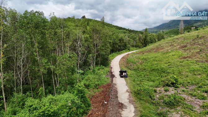 bán 9.5 hecta đất Cây Lâu Năm làm trang trại, nhà vườn, mặt tiền 300m betong giá rẻ - 2