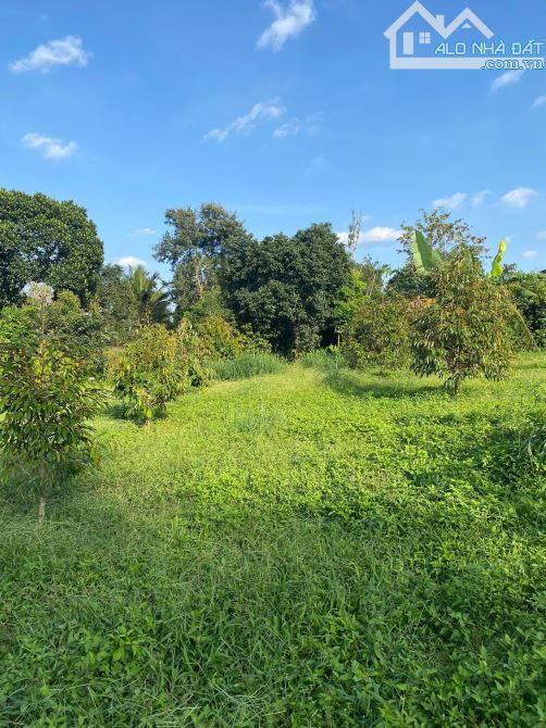 Bán đất view hồ cuor kap eakatu cư kuin daklak - 2