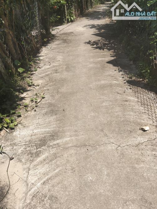 🔥🔥🔥 SIÊU HỜI – CHỈ 1,X TỶ SỞ HỮU LÔ ĐẤT ĐẸP 270m² VIEW RUỘNG CÁCH CẦU CỬA ĐẠI 700M 🔥 - 3