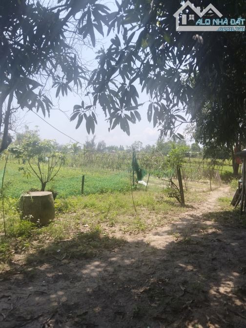 🔥🔥🔥 SIÊU HỜI – CHỈ 1,X TỶ SỞ HỮU LÔ ĐẤT ĐẸP 270m² VIEW RUỘNG CÁCH CẦU CỬA ĐẠI 700M 🔥 - 4