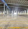 Nhà xưởng cho thuê lẻ 1890m2, 2780m2, 3500m2, 4200m2, 6000m2., KCN Tân Kim, Long Hậu