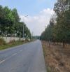 Bán 3,3 mẫu quy hoạch chăn nuôi Xuân Thành Xuân Lộc giá 400 triệu / 1000 m2
