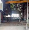 Bán kho 2389m2 có 1300m2 SKC, ngang 22m nở hậu, MT 835D, Long Hoà, Cần Đước, Long An