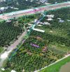 Hơn 3500m2 đất vườn măng cụt view rạch ở An Sơn, gần đường Vành Đai 3