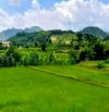 Bán nhà cấp 4 đẹp xã Suối Hai, Tản Lĩnh, Ba Vì, gần UB, chợ, 311m, nở hậu, oto tránh.