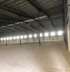 Cho thuê kho xưởng huỳnh tấn phát Long Biên. DT 3000m2, MT 35m, pccc tự động
