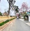 Villa Vip Sổ riêng hoàn công  Hẻm ô tô lớn Cô Giang, Phường 9, Đà Lạt