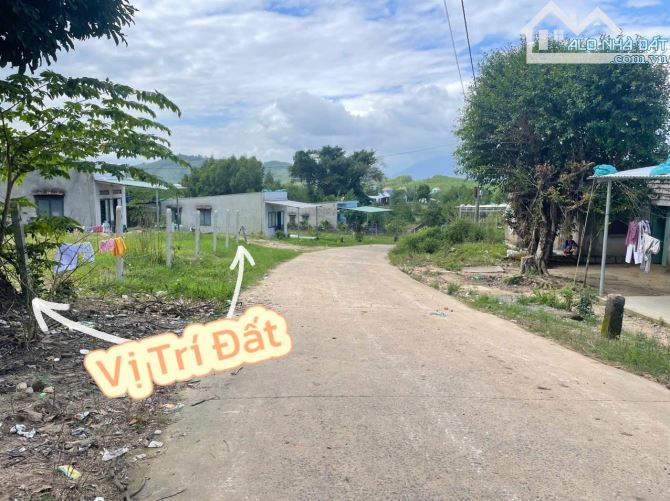 💥Giảm 200 TRIỆU – Bán nhanh 2000m2 đất Thổ Cư Khánh Đông - View Suối Đá cực đẹp💥 - 2