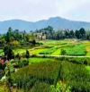 Đất đẹp Ba Vì, Vân Hòa, gần UB xã Yên Bài, Làng văn hóa, 454m, nở hậu đg oto thông, 3.74tỷ