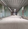 *Cho thuê kho*520m2 gần đường Ngô Chí Quốc, Bình Chiểu, Quận Thủ Đức