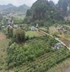ĐẤT TÂN LẠC HOÀ BÌNH VIEW ĐẸP GIÁ ĐẦU TƯ