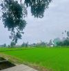 HOMESTAY HỘI AN – VIEW CÁNH ĐỒNG SIÊU CHILL, THIẾT KẾ HIỆN ĐẠI (231M2)– GIÁ TỐT