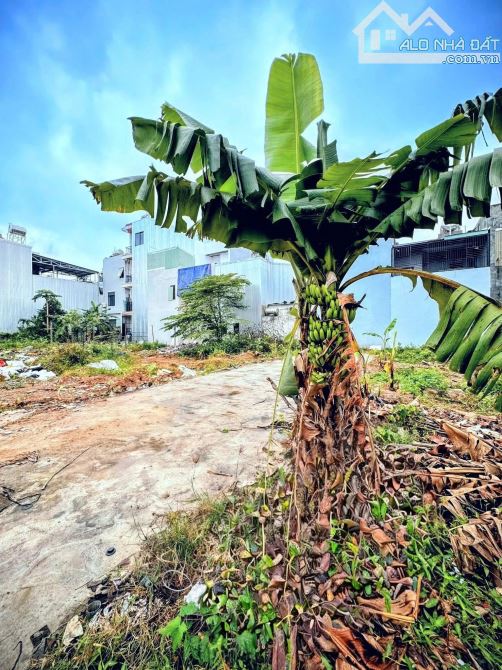 📌📌📌LÀM VIỆC TRỰC TIẾP GIÁ TỐT !!! Bán đất Thâm Tâm, Hòa Quý