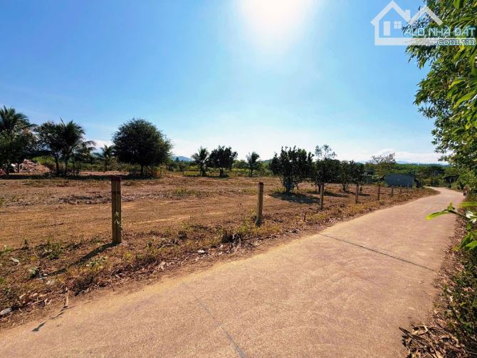 💥 Mở bá.n 3 lô Full Thổ cư Khánh Trung - Vị trí khu dân cư, đường bê tông ô tô, đầu tư💥 - 2