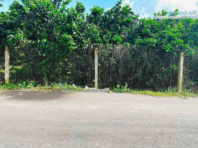 💥Mở b.án 12 lô Full Thổ cư xã Sông Cầu, chỉ từ 199 triệu - Ngay cạnh đường QL27C💥 - 1