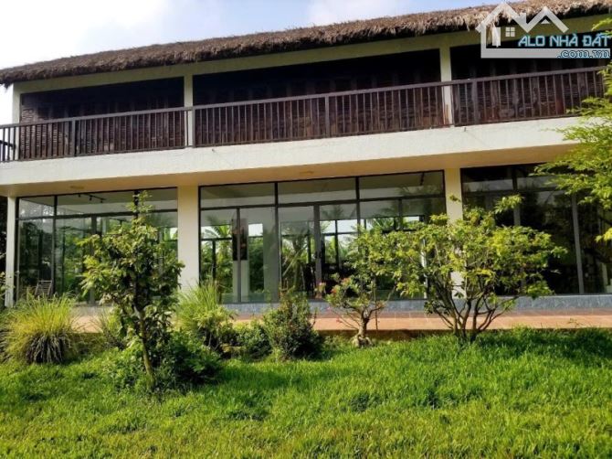 Bán nhà vườn Cần Đước, Tây Ninh (Long An), Tỉnh Lộ 835D, 2600m2, siêu phẩm biệt thự vườn - 2