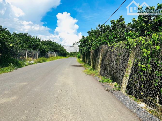 💥Mở b.án 12 lô Full Thổ cư xã Sông Cầu, chỉ từ 199 triệu - Ngay cạnh đường QL27C💥 - 2