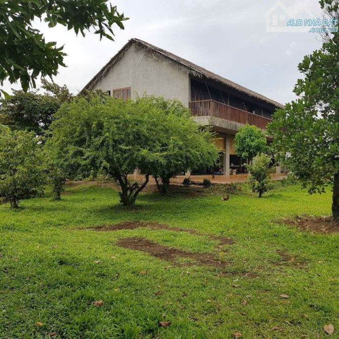 Bán nhà vườn Cần Đước, Tây Ninh (Long An), Tỉnh Lộ 835D, 2600m2, siêu phẩm biệt thự vườn - 3