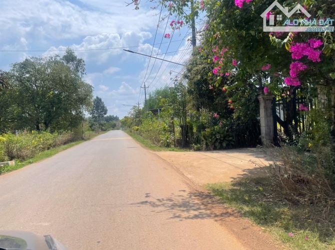 ✓Du Án dành cho nhà đầu tư. G.ía 3xx/sao..đến 6xx/sào Có tách bán lẻ từng sào . Ai mua hết - 8