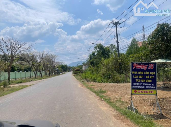 ✓Du Án dành cho nhà đầu tư. G.ía 3xx/sao..đến 6xx/sào Có tách bán lẻ từng sào . Ai mua hết - 9