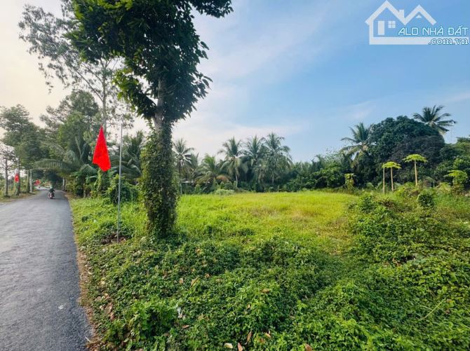 Bán nhanh 646m2 đất Mặt Tiền đường tỉnh 925 xã Châu Thành Cần Thơ - 2