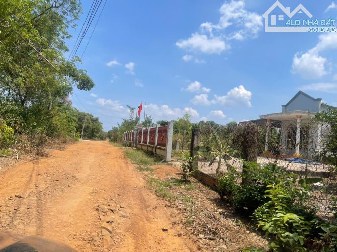 ✓Du Án dành cho nhà đầu tư. G.ía 3xx/sao..đến 6xx/sào Có tách bán lẻ từng sào . Ai mua hết - 11