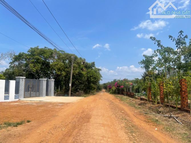 ✓Du Án dành cho nhà đầu tư. G.ía 3xx/sao..đến 6xx/sào Có tách bán lẻ từng sào . Ai mua hết - 12