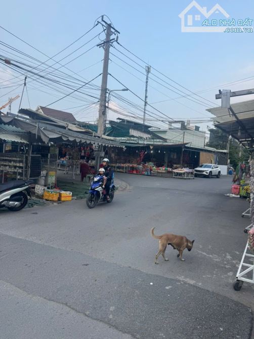 Đất chợ đêm thuận giao thuận an bình dương giá 4,55 tỷ - 1