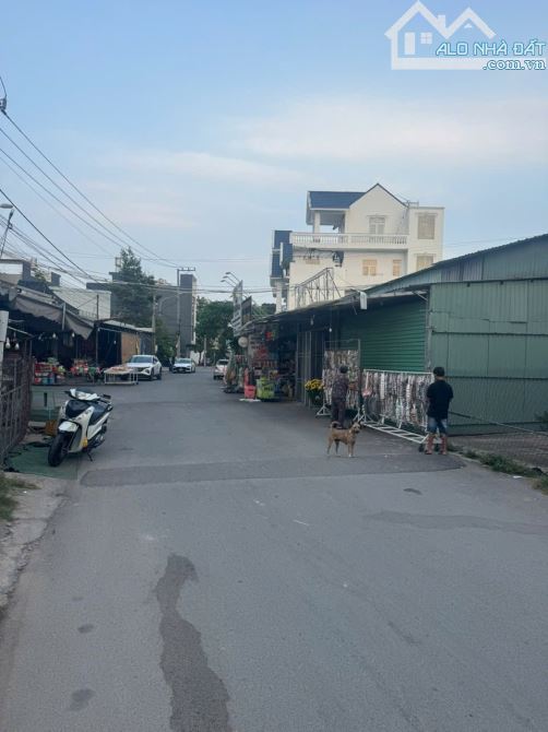 Đất chợ đêm thuận giao thuận an bình dương giá 4,55 tỷ - 2