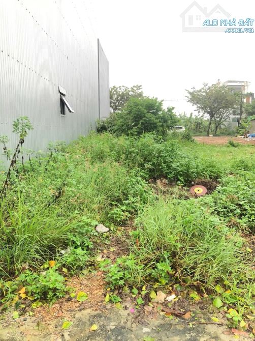 🔥 LÔ ĐẤT GIÁ TỐT HÒA LIÊN – CHỈ NHỈNH 2 TỶ SỞ HỮU NGAY 100M² 🔥 📍 Vị trí: Văn Dương – Hò