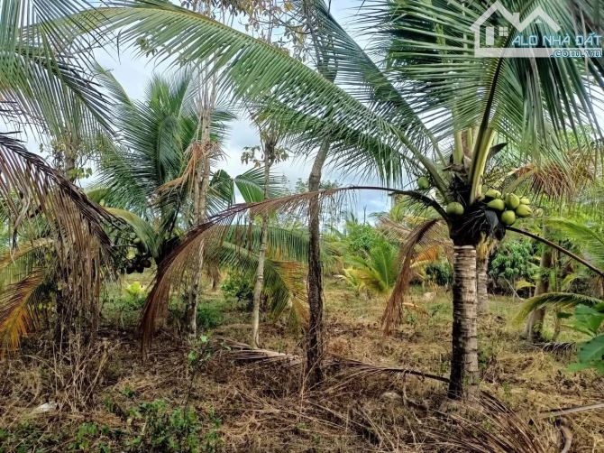 Cần bán 2 sào Enuol, cách phố 10km, - 1