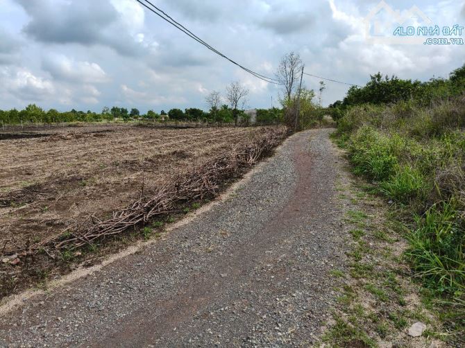 Hai mặt đường đá mi gần 1200mv - 4