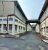 X044 ➡️ Bán nhà  xưởng Cụm CN Tân An Dt: 37.000 m2 full SKN đóng thuế 1 lần đến năm 2053
