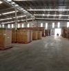 CHO THUÊ KHO XƯỞNG TRONG KCN QUANG MINH, MÊ LINH, HÀ NỘI  - Diện tích: 1330m2, 2200m2, 250