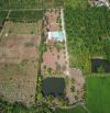 🌿  NHÀ VƯỜN VIEW RUỘNG ĐẸP – HOÀ KHÁNH, TP BMT