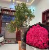 Bán nhà 1T1L hẻm Dasu Bình Gĩa, phường Thắng Nhất