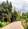 Bán đất Minh Quang, Ba Vì, bám đồng, có ao, view núi, đg nhựa, 1245m, 3.95tỷ